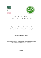 Propagation_and_Molecular_Char.pdf